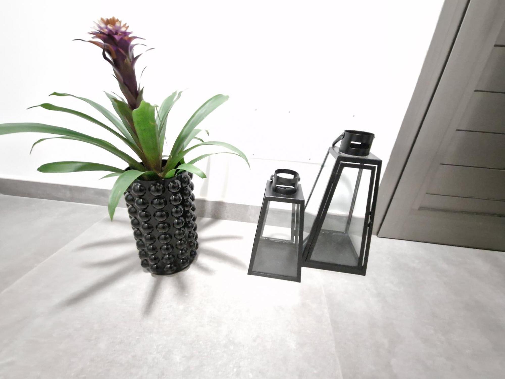 Ocean Surf Appartement Playa Del Hombre