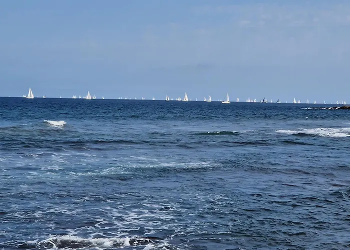 Ocean Surf Suite